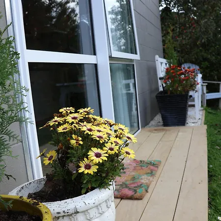 Bach On Waikawa 2 Bedroom Home Picton Exterior photo